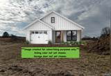 3371 County Road 445 - Photo 4