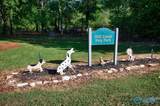 220 Overbrook Drive - Photo 45