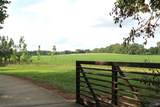 107 Walking Trail Way - Photo 42