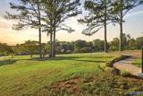 221 Dublin Circle - Photo 48