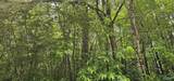 3 +/- Acres County Road 106 - Photo 15
