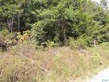 74.5 ACRES County Road 9 - Photo 11