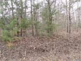 74.5 ACRES County Road 9 - Photo 3