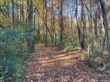 8180 County Road 44 - Photo 45