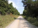74.5 ACRES County Road 9 - Photo 10