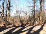 74.5 ACRES County Road 9 - Photo 7