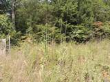 74.5 ACRES County Road 9 - Photo 8