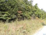 74.5 ACRES County Road 9 - Photo 9