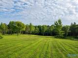 58 Acres Naples Lane - Photo 5