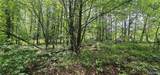3 +/- Acres County Road 106 - Photo 12