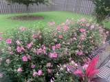 7063 Meadow Way Lane - Photo 37