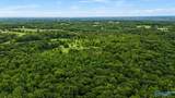 58 Acres Naples Lane - Photo 11
