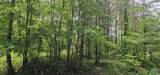 3 +/- Acres County Road 106 - Photo 3