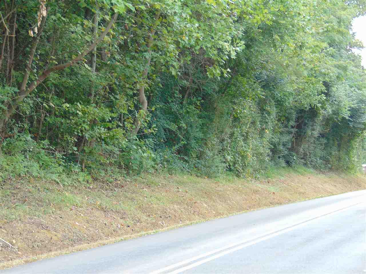 Willow Beach Road - Photo 1