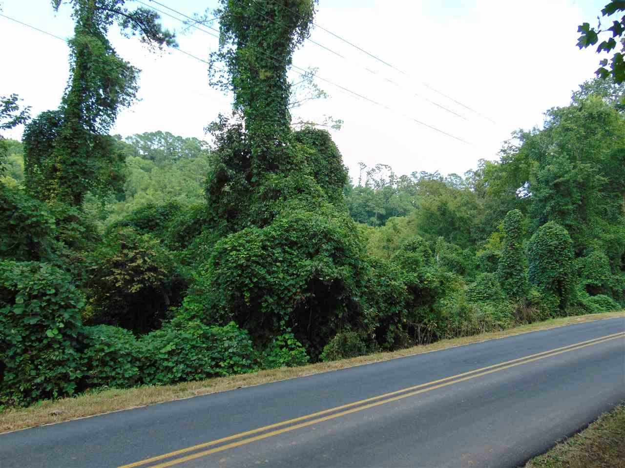 0 Willow Beach Road - Photo 1