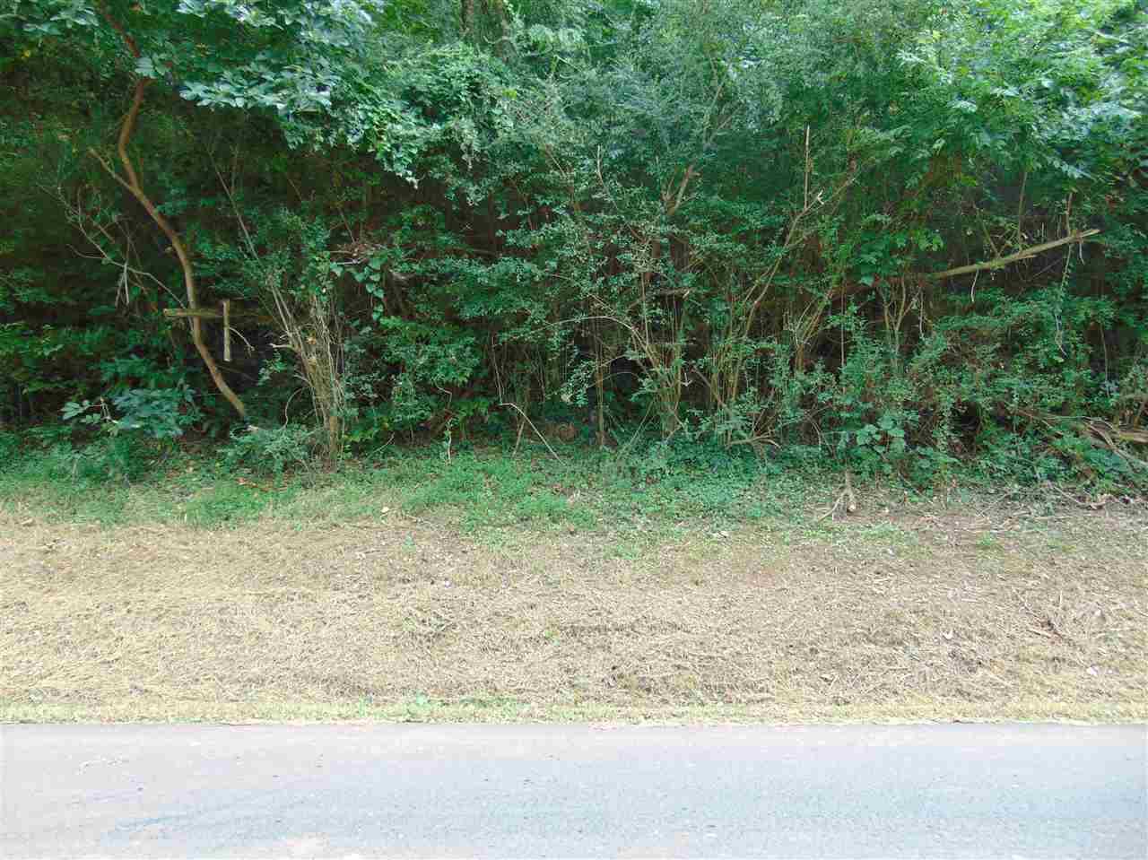 Willow Beach Road - Photo 1