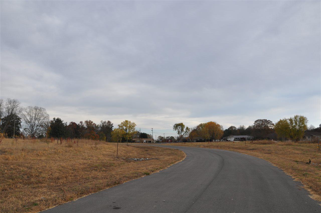 0 Eddy Scant City Road - Photo 1