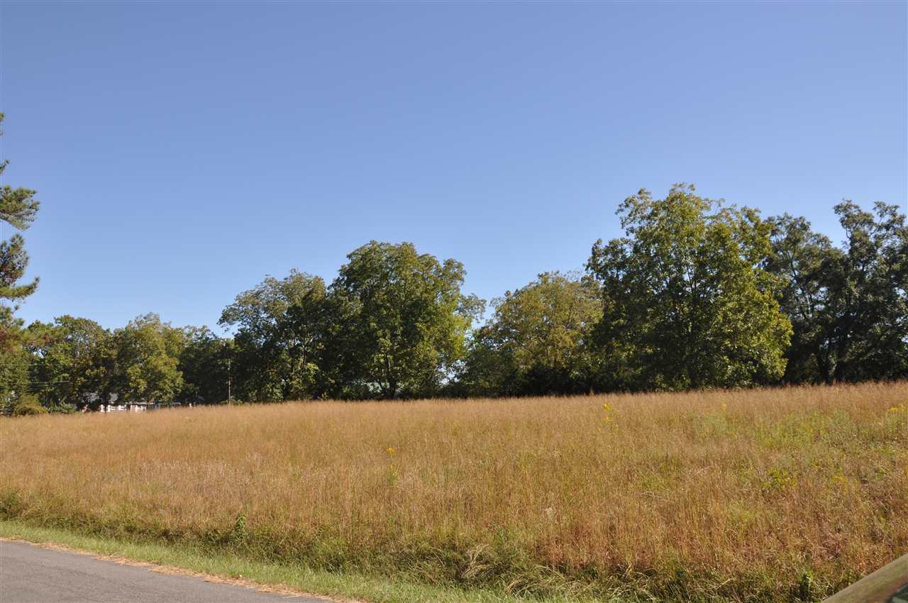 0 Alabama Highway 69 - Photo 1