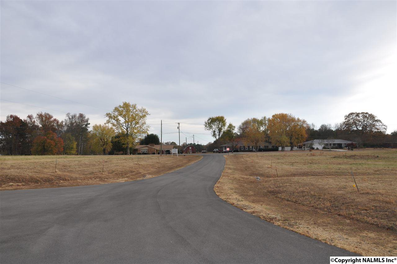 X0X0 Eddy Scant City Road - Photo 1