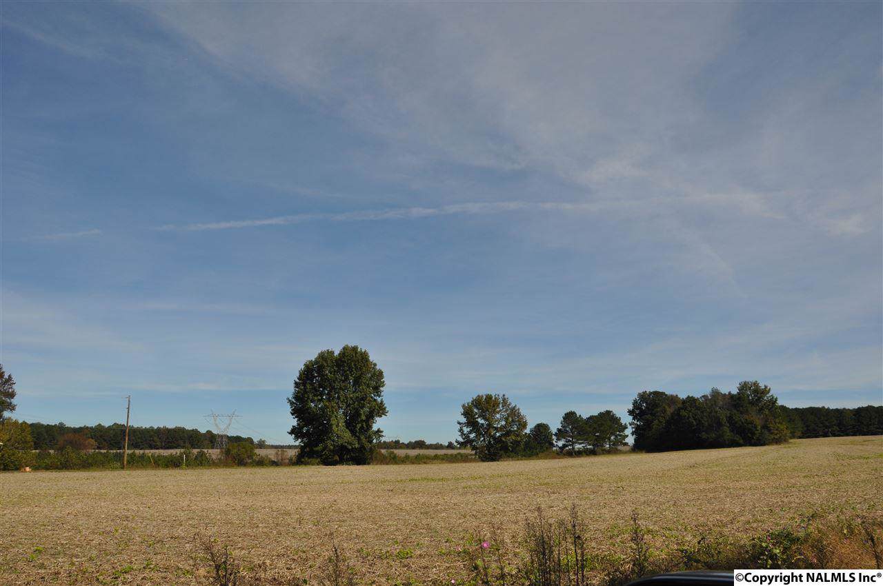 00 County Road 48 - Photo 1