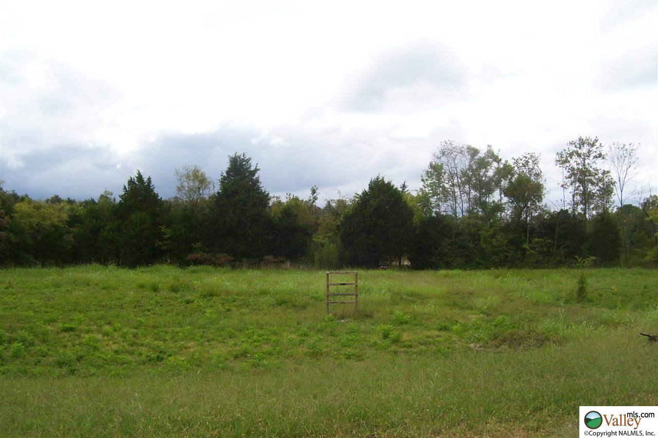 HWY 72 Woodville - Photo 1