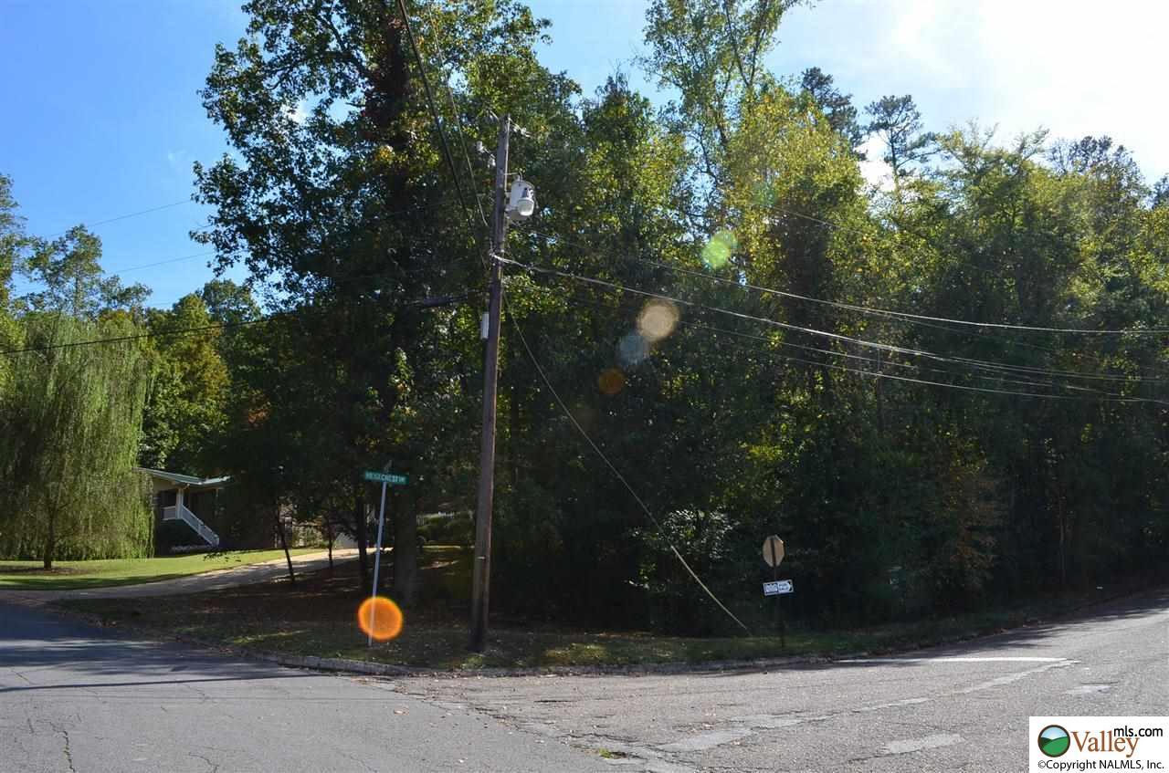 0 Ridgecrest Road - Photo 1