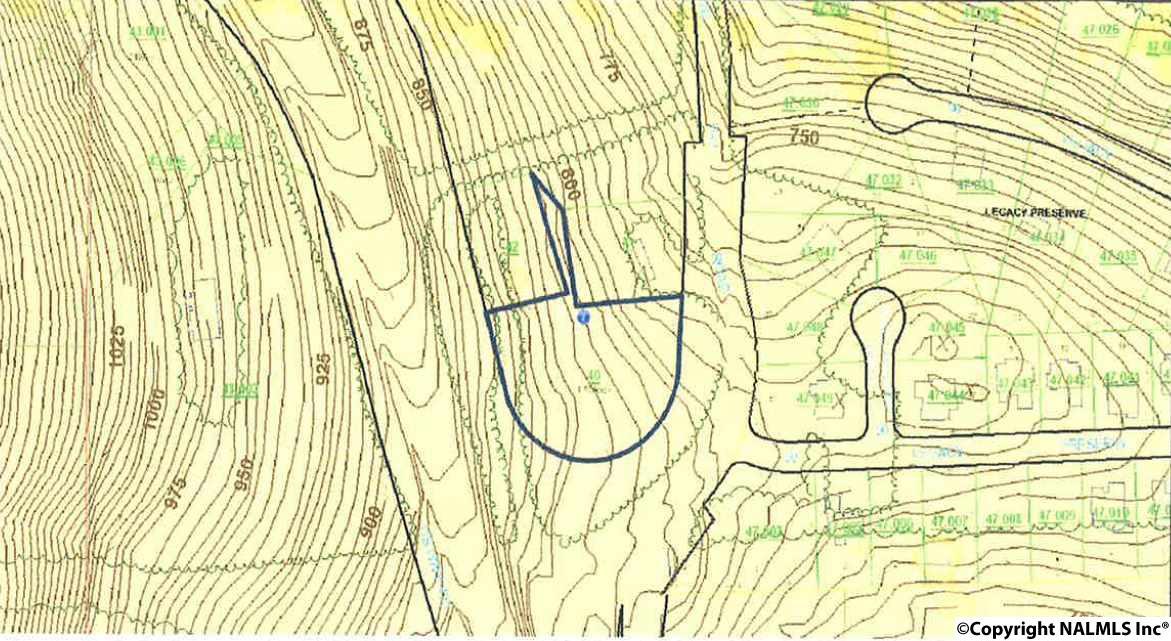 0 Dug Hill Road - Photo 1