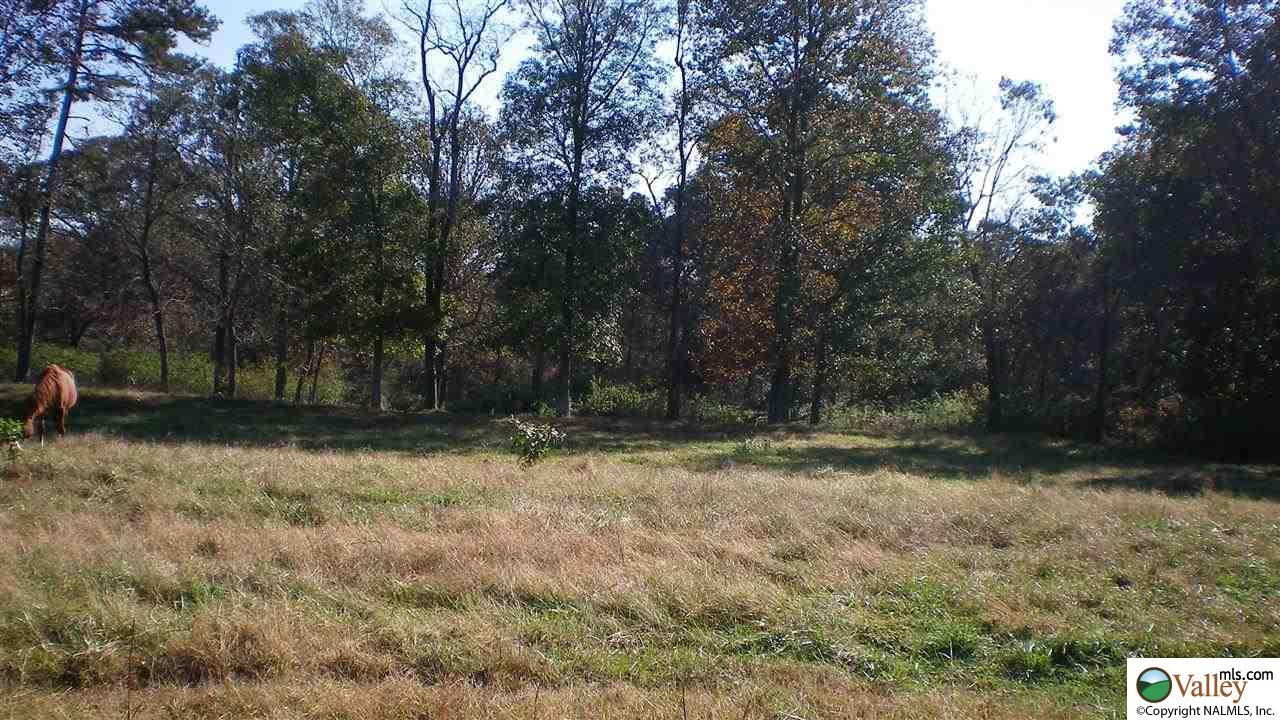 lot 18 County Road 684 - Photo 1