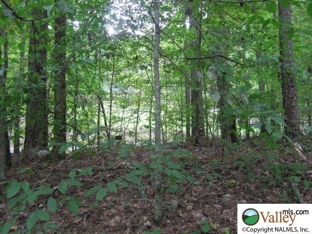 001 Wyeth Drive - Photo 1