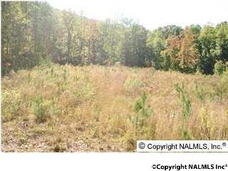 00 Windy Hill Road - Photo 1