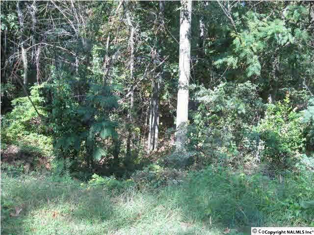 0000 Becky Allen Circle - Photo 1
