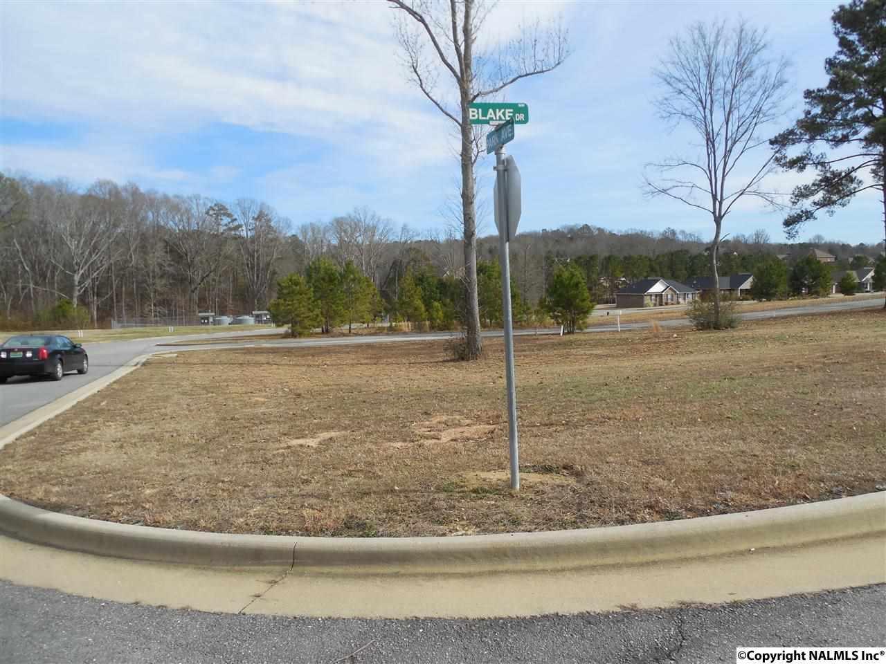 2714 Blake Drive - Photo 1