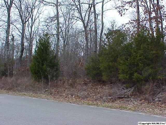 11 Forest Home Drive - Photo 1