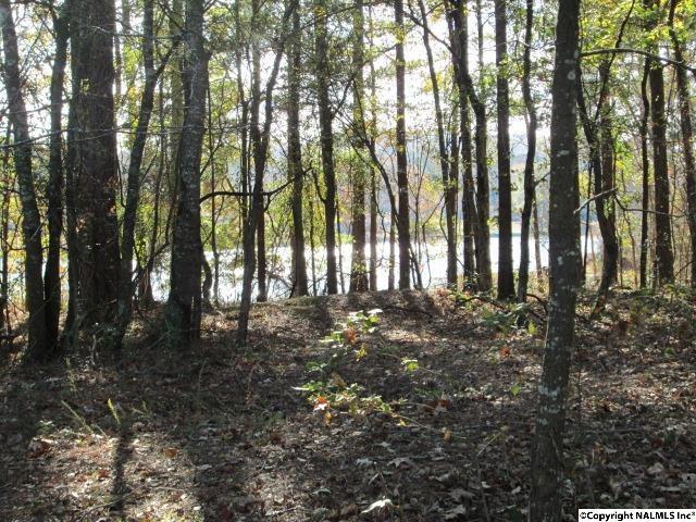 0000 Sibert Circle - Photo 1