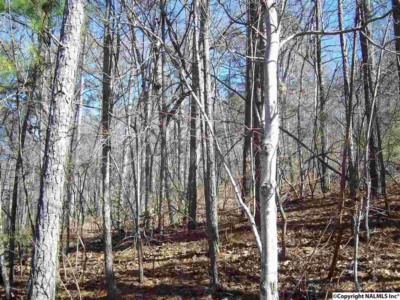 0 Greenbriar Road - Photo 1