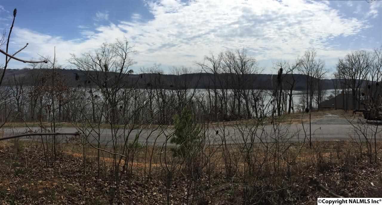79 Monte Sano Drive - Photo 1