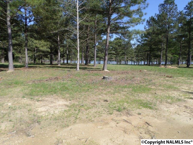 2 Summer Breeze Drive - Photo 1