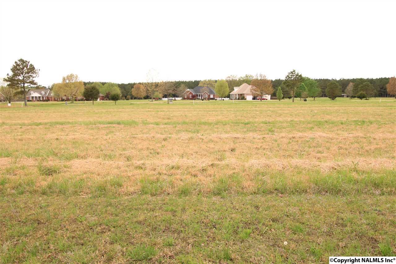 111 Southern Breeze - Photo 1