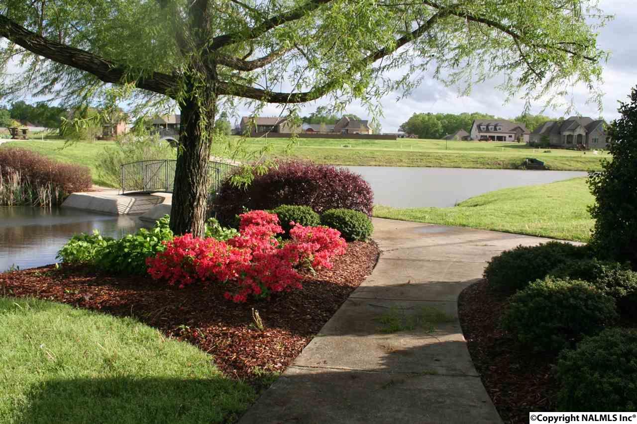 17473 Blair Drive - Photo 1