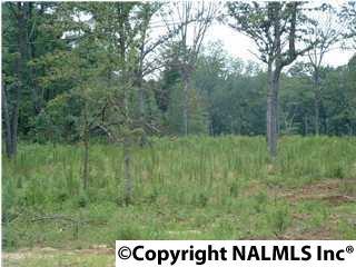12 Denvil Drive - Photo 1