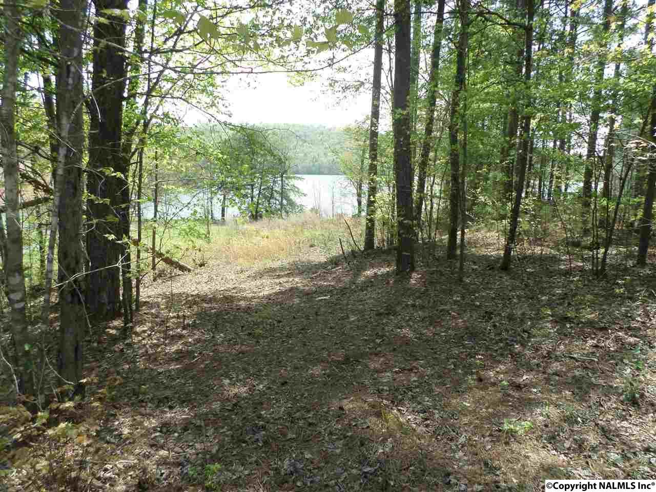 26 County Road 137 - Photo 1