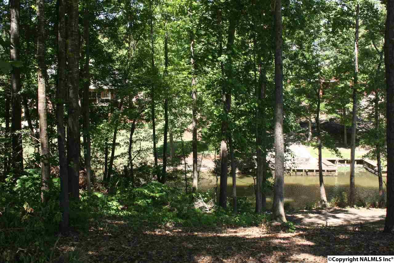 0 Indian Pine Trace - Photo 1