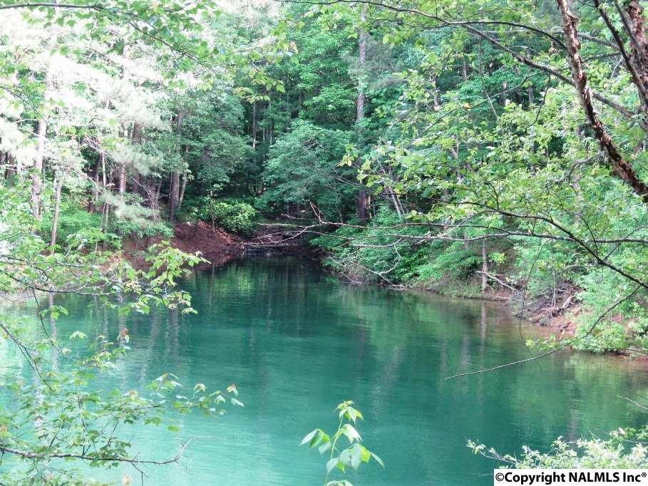 33 County Road 159 - Photo 1