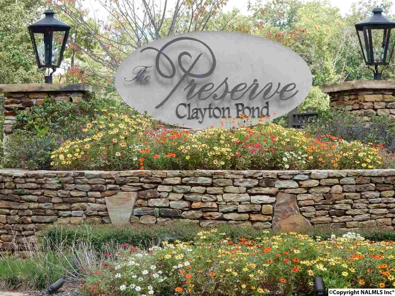 19 Autumn Glory Lane - Photo 1