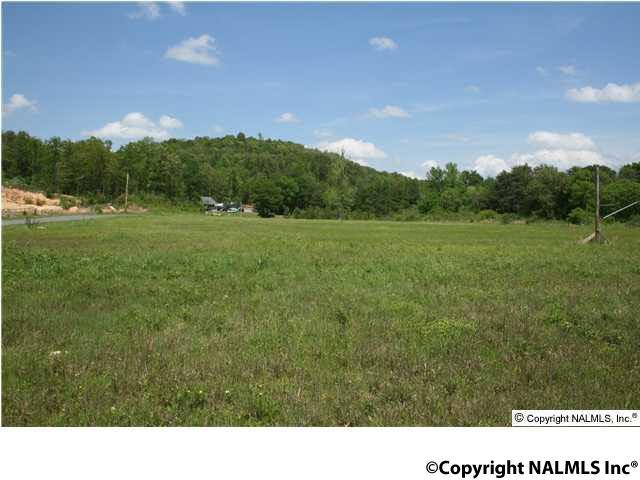 Highway 35 - Photo 1