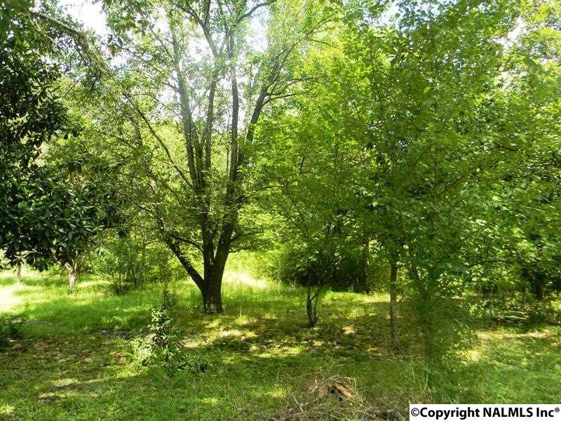 362 Hooks Lake Road - Photo 1