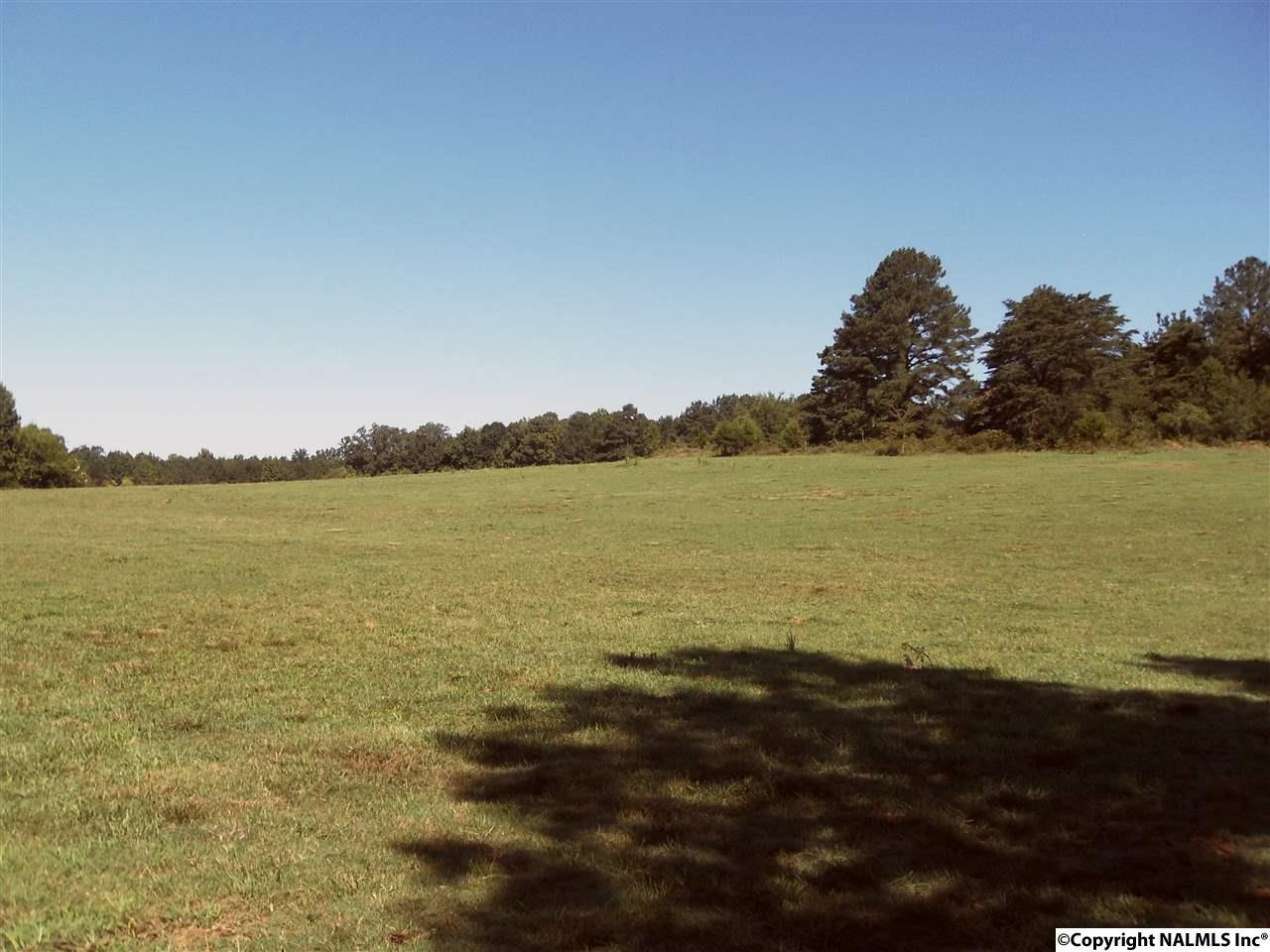 0 County Road 240 - Photo 1