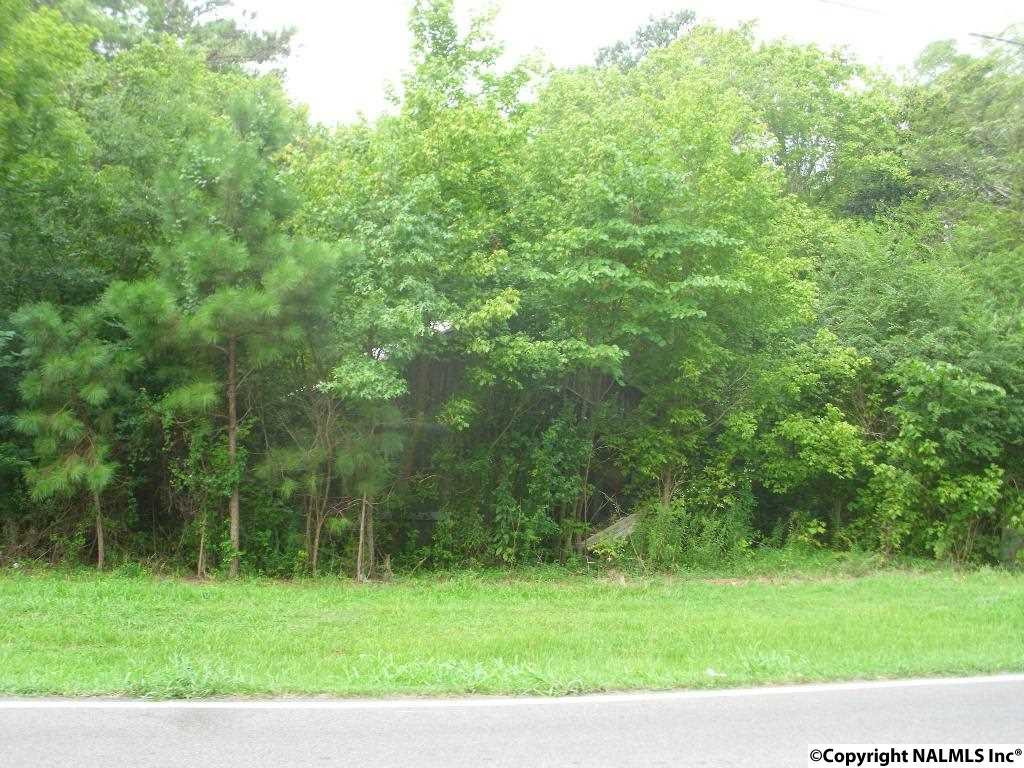 000 Union Grove Road - Photo 1