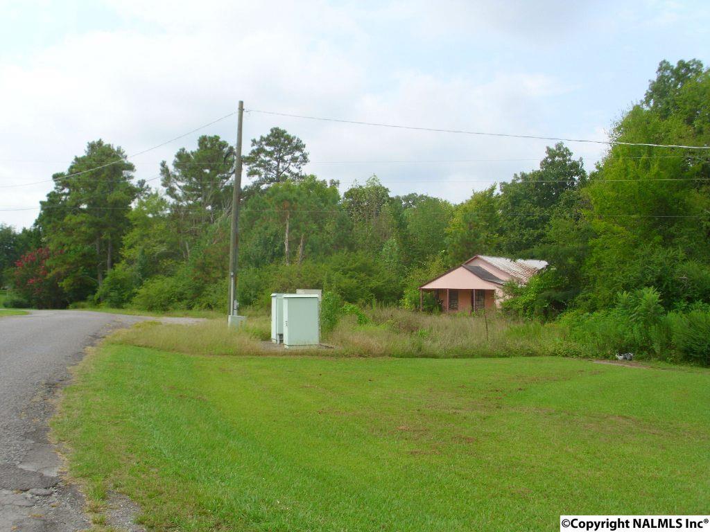 Brocks Chapel Road - Photo 1