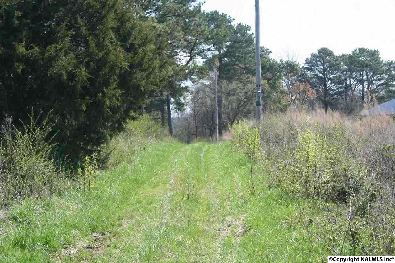 00 Water Plant Road - Photo 1